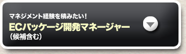 マネジメント経験を積みたい! ECパッケージ開発マネージャー(候補含む)